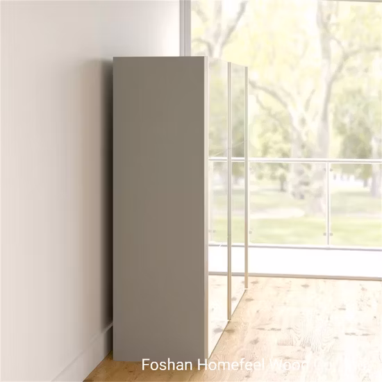 European Design Contemporary Bedroom Big Size MDF Mirror Sliding Door Robe (HF-WB13)